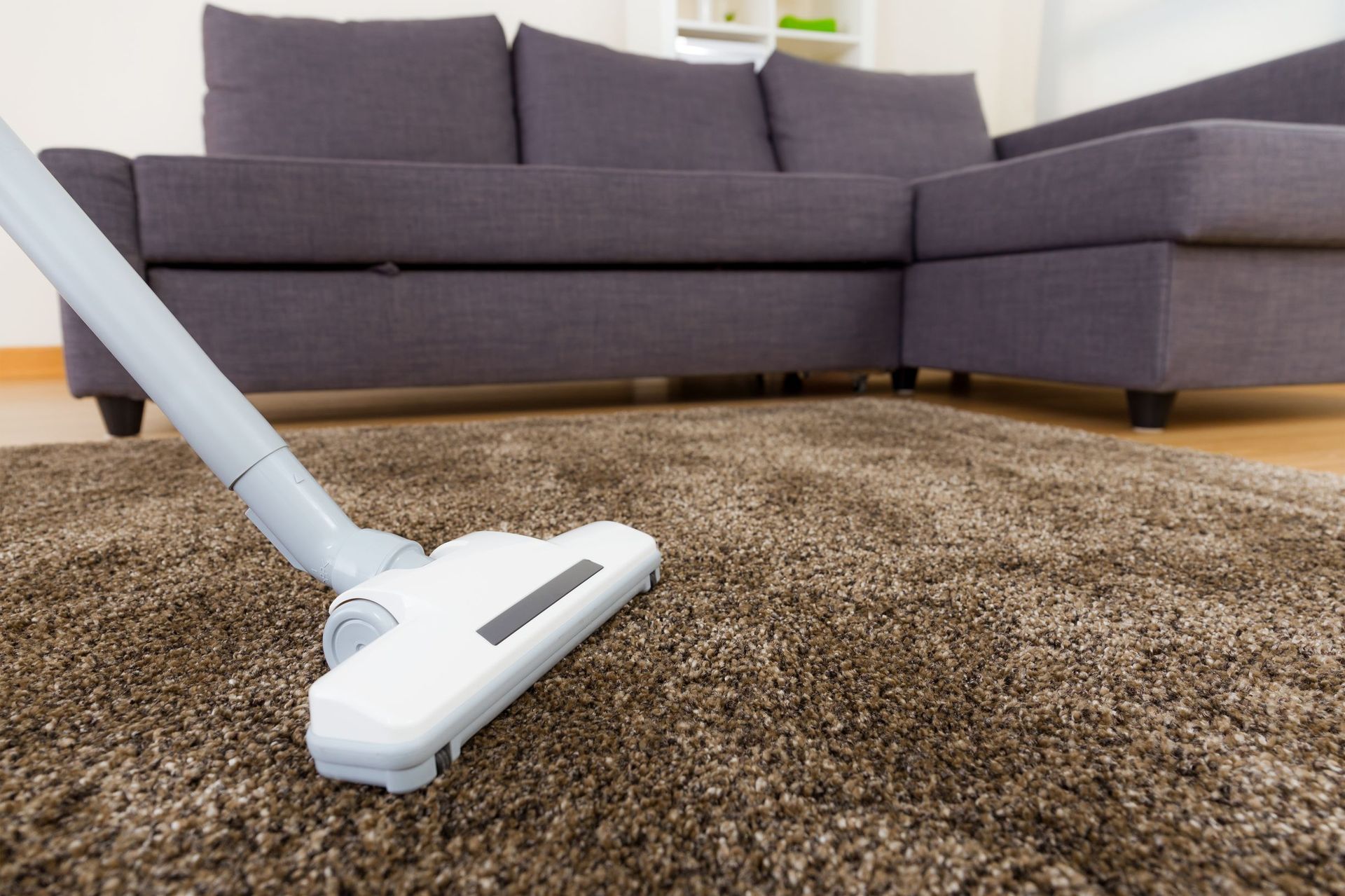 Carpet Cleaning
